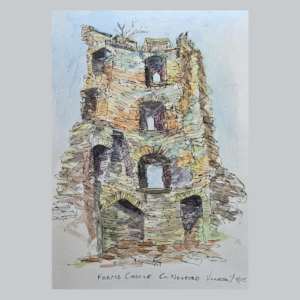 Ferns Castle Print